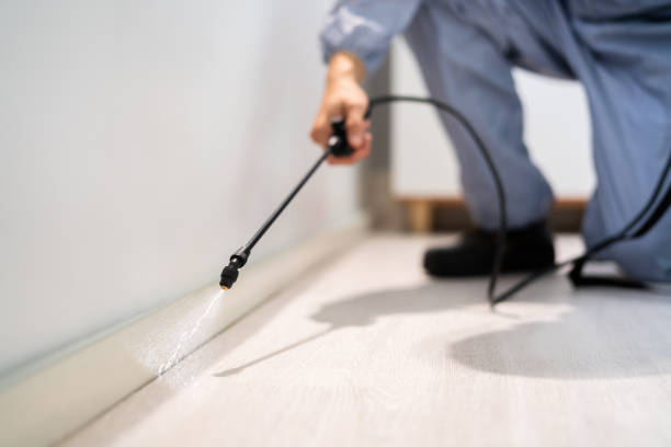 Professional exterminator conducting IPM assessment in Pine Bluffs